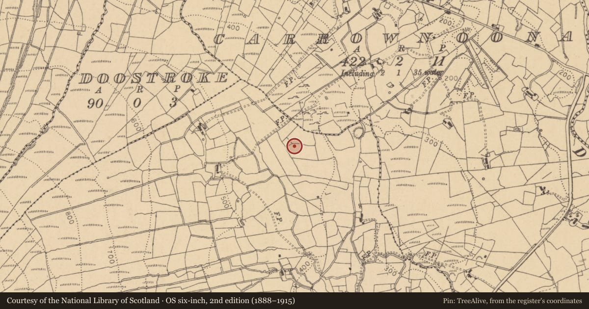Ordnance Survey six-inch map, 2nd edition (1888–1915) covering the location of Megalithic tomb - court tomb, Shesknan, County Leitrim, with a pin at the register's coordinates