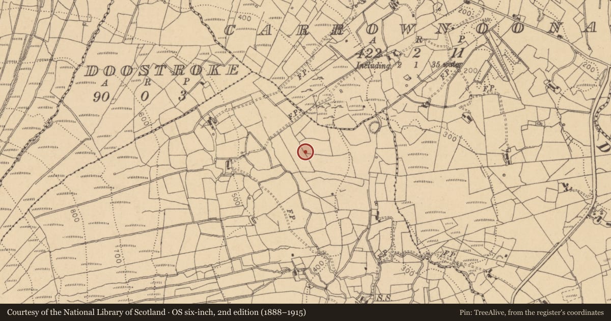 Ordnance Survey six-inch map, 2nd edition (1888–1915) covering the location of Megalithic tomb - wedge tomb, Shesknan, County Leitrim, with a pin at the register's coordinates