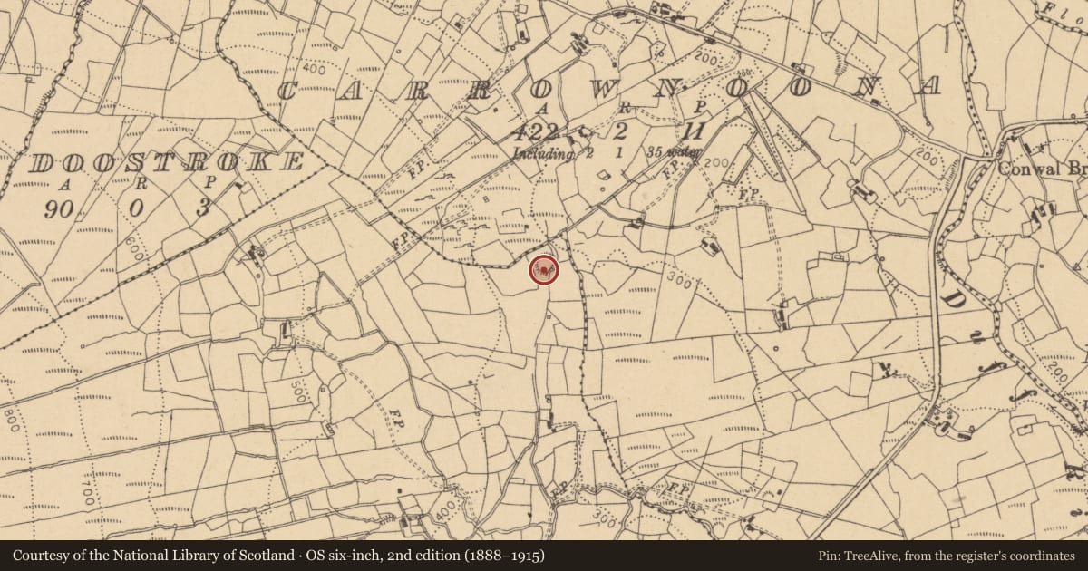 Ordnance Survey six-inch map, 2nd edition (1888–1915) covering the location of Mass-rock, Shesknan, County Leitrim, with a pin at the register's coordinates