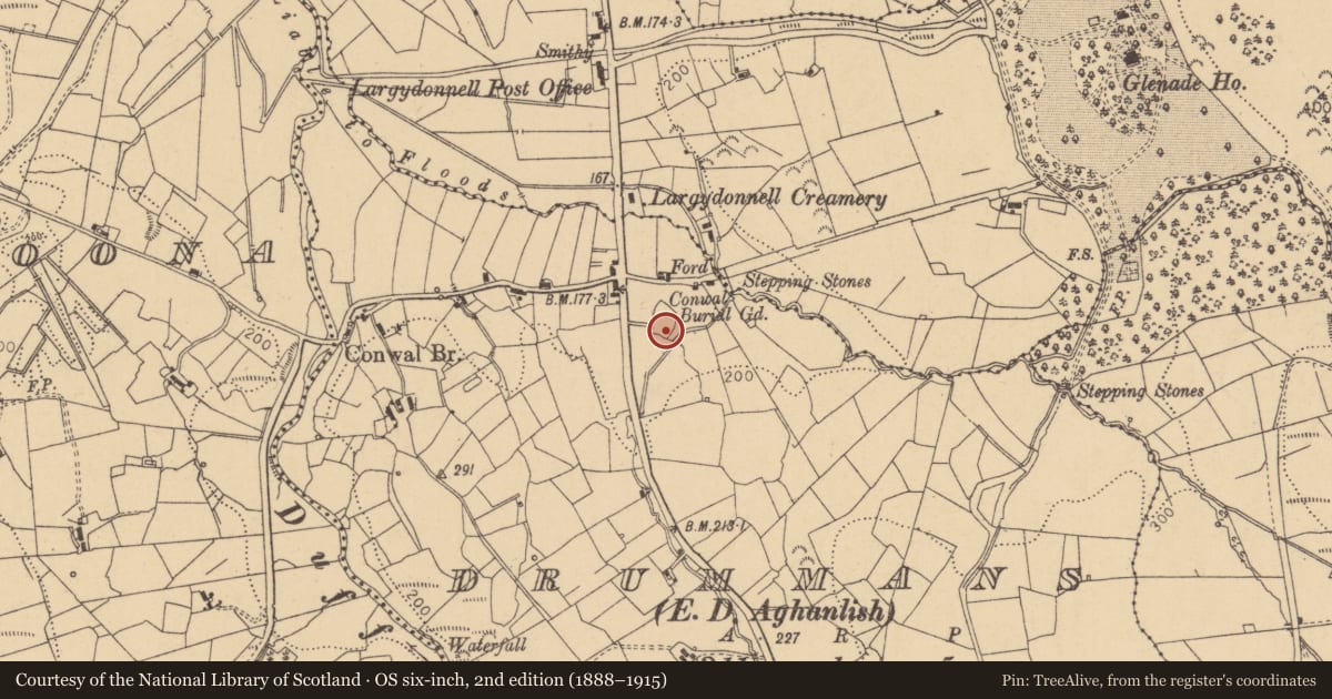 Ordnance Survey six-inch map, 2nd edition (1888–1915) covering the location of Headstone, Drummans, County Leitrim, with a pin at the register's coordinates