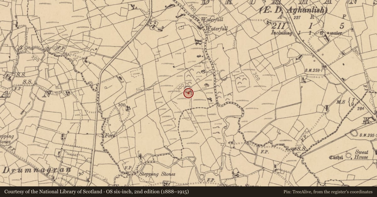 Ordnance Survey six-inch map, 2nd edition (1888–1915) covering the location of Ringfort - rath, Carrownoona, County Leitrim, with a pin at the register's coordinates