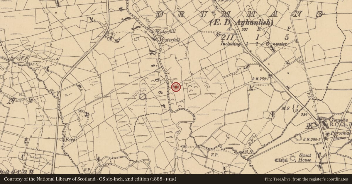 Ordnance Survey six-inch map, 2nd edition (1888–1915) covering the location of Ringfort - rath, Drummans, County Leitrim, with a pin at the register's coordinates