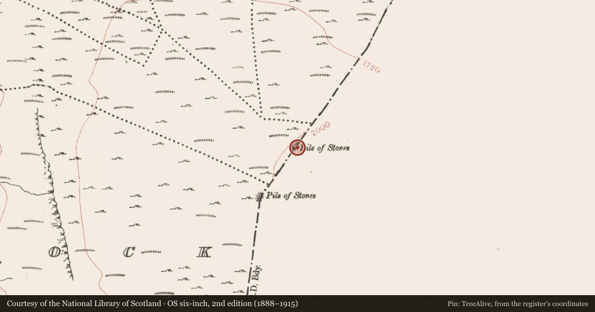 Ordnance Survey six-inch map, 2nd edition (1888–1915) covering the location of Cairn - boundary cairn, Shesknan, County Leitrim, with a pin at the register's coordinates