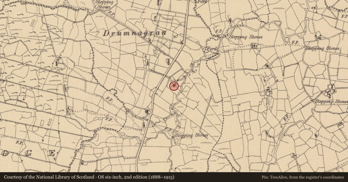 Ordnance Survey six-inch map, 2nd edition (1888–1915) covering the location of Ringfort - rath, Shesknan, County Leitrim, with a pin at the register's coordinates