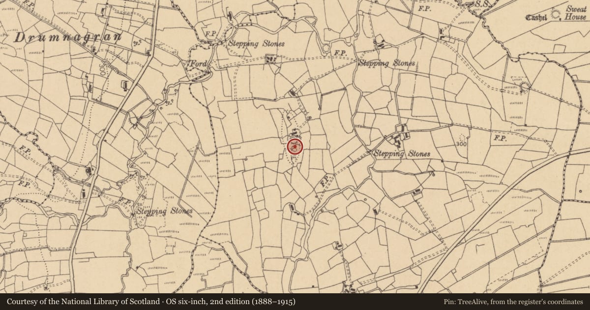 Ordnance Survey six-inch map, 2nd edition (1888–1915) covering the location of Ringfort - unclassified, Drumcashel, County Leitrim, with a pin at the register's coordinates