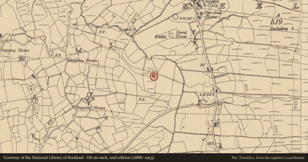 Ordnance Survey six-inch map, 2nd edition (1888–1915) covering the location of Ringfort - cashel, Drumcashel, County Leitrim, with a pin at the register's coordinates
