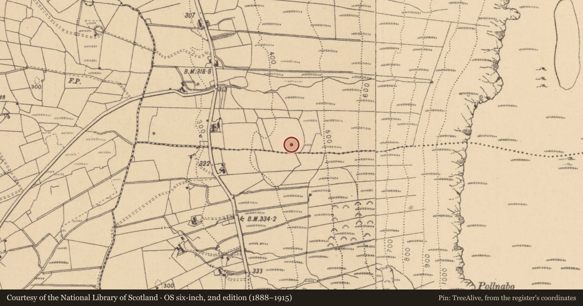 Ordnance Survey six-inch map, 2nd edition (1888–1915) covering the location of Ringfort - rath, Keeloges, County Leitrim, with a pin at the register's coordinates