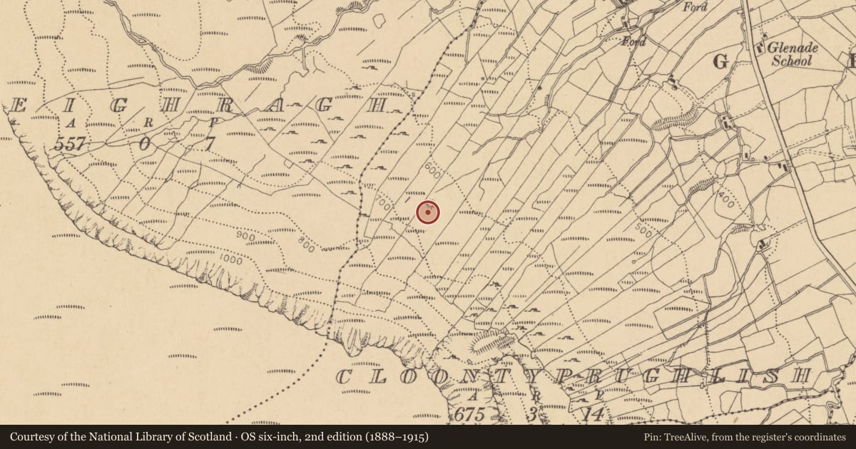 Ordnance Survey six-inch map, 2nd edition (1888–1915) covering the location of Kiln - lime, Cloontyprughlish, County Leitrim, with a pin at the register's coordinates