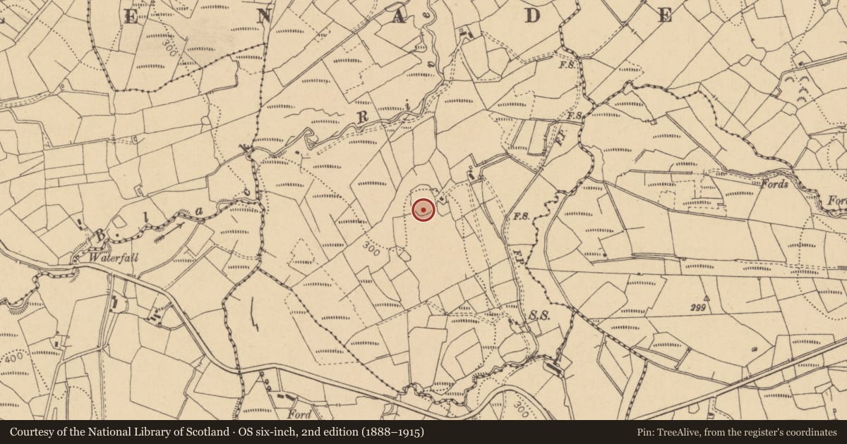 Ordnance Survey six-inch map, 2nd edition (1888–1915) covering the location of Enclosure, Drumcashel, County Leitrim, with a pin at the register's coordinates