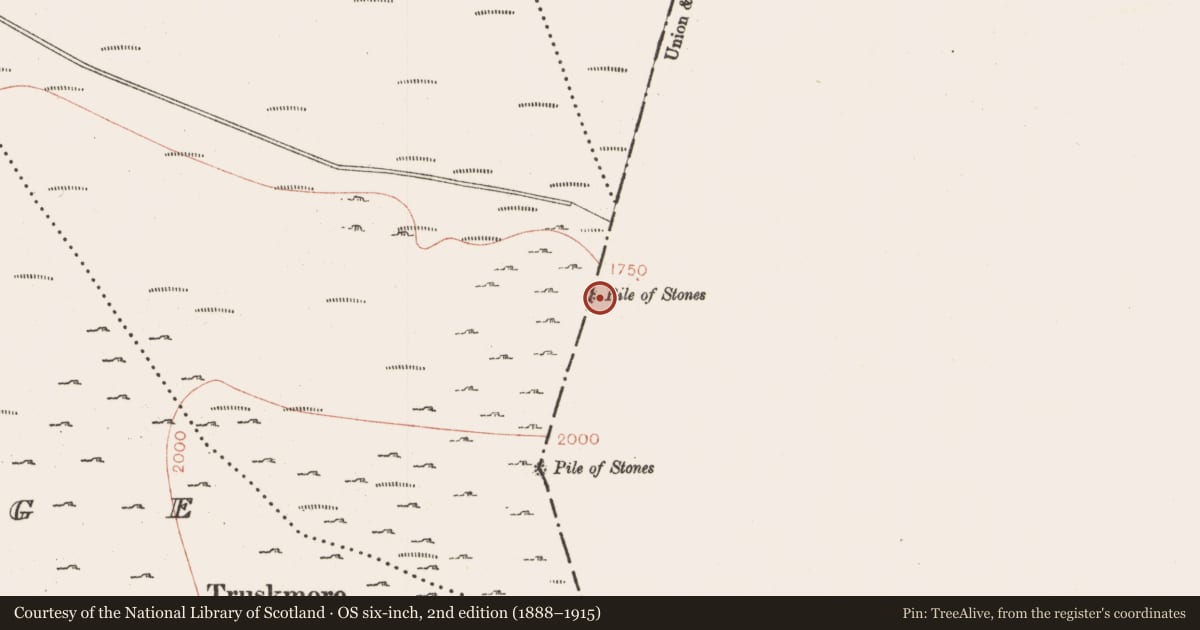Ordnance Survey six-inch map, 2nd edition (1888–1915) covering the location of Cairn - boundary cairn, Cleighragh, County Leitrim, with a pin at the register's coordinates
