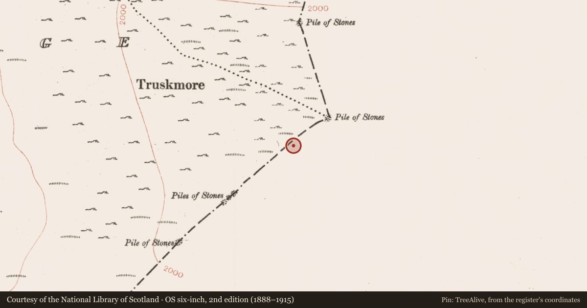 Ordnance Survey six-inch map, 2nd edition (1888–1915) covering the location of Cairn - boundary cairn, Corglass, County Leitrim, with a pin at the register's coordinates