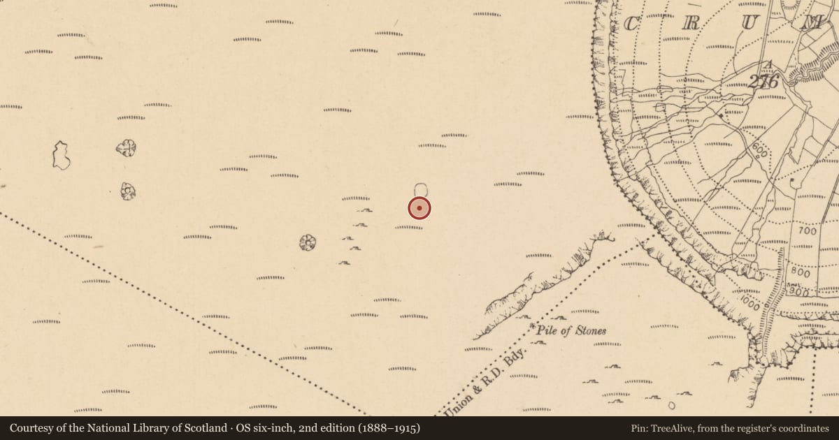 Ordnance Survey six-inch map, 2nd edition (1888–1915) covering the location of Enclosure, Cloontyprughlish, County Leitrim, with a pin at the register's coordinates