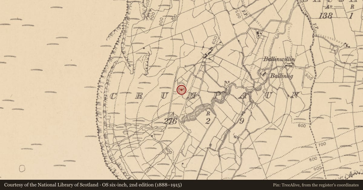 Ordnance Survey six-inch map, 2nd edition (1888–1915) covering the location of Ringfort - rath, Crumpaun, County Leitrim, with a pin at the register's coordinates