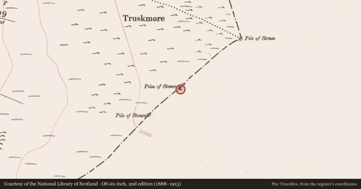 Ordnance Survey six-inch map, 2nd edition (1888–1915) covering the location of Cairn - boundary cairn, Corglass, County Leitrim, with a pin at the register's coordinates