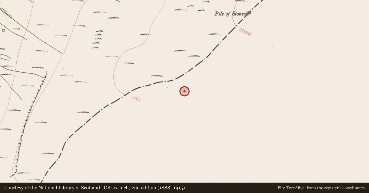 Ordnance Survey six-inch map, 2nd edition (1888–1915) covering the location of Cairn - boundary cairn, Largandoon, Treanakillew, County Leitrim, with a pin at the register's coordinates