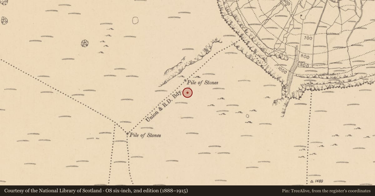 Ordnance Survey six-inch map, 2nd edition (1888–1915) covering the location of Cairn - boundary cairn, Cloontyprughlish, Gortnagarn, County Leitrim, with a pin at the register's coordinates