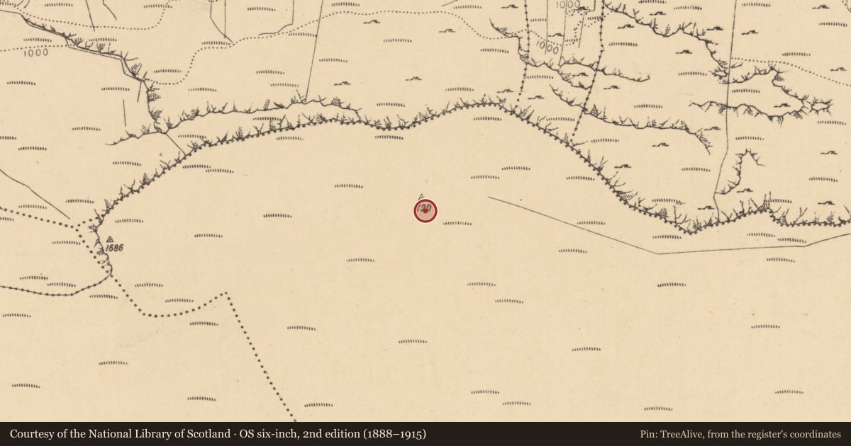 Ordnance Survey six-inch map, 2nd edition (1888–1915) covering the location of Cairn - unclassified, Arroo, County Leitrim, with a pin at the register's coordinates