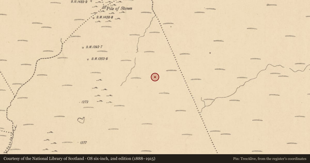 Ordnance Survey six-inch map, 2nd edition (1888–1915) covering the location of Standing stone, Erriff, County Leitrim, with a pin at the register's coordinates