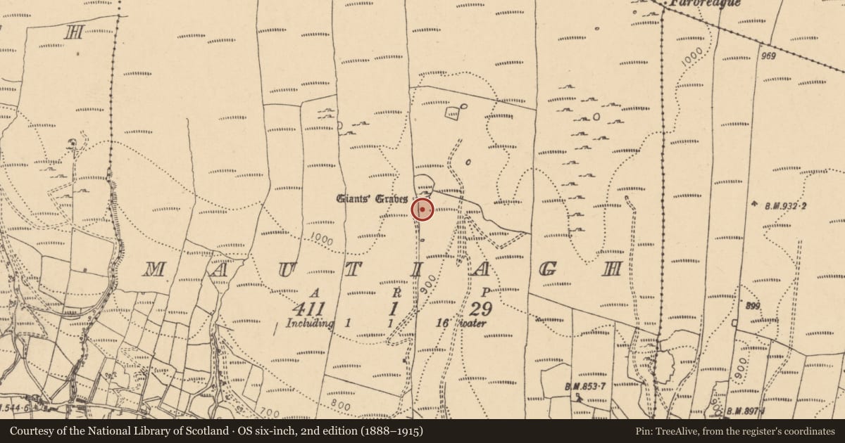 Ordnance Survey six-inch map, 2nd edition (1888–1915) covering the location of Megalithic tomb - court tomb, Mautiagh, County Leitrim, with a pin at the register's coordinates