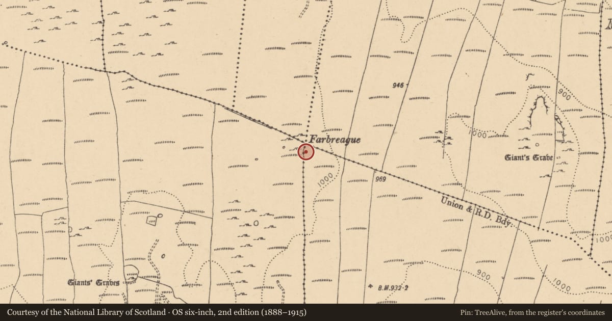 Ordnance Survey six-inch map, 2nd edition (1888–1915) covering the location of Cairn - boundary cairn, County Leitrim, with a pin at the register's coordinates