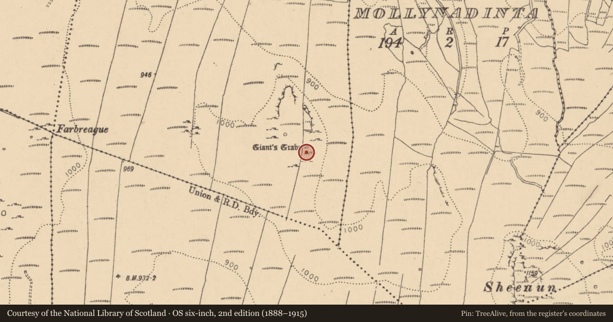 Ordnance Survey six-inch map, 2nd edition (1888–1915) covering the location of Megalithic tomb - court tomb, Shasgar, County Leitrim, with a pin at the register's coordinates