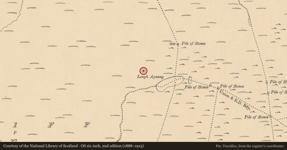 Ordnance Survey six-inch map, 2nd edition (1888–1915) covering the location of Hut site, Erriff, County Leitrim, with a pin at the register's coordinates