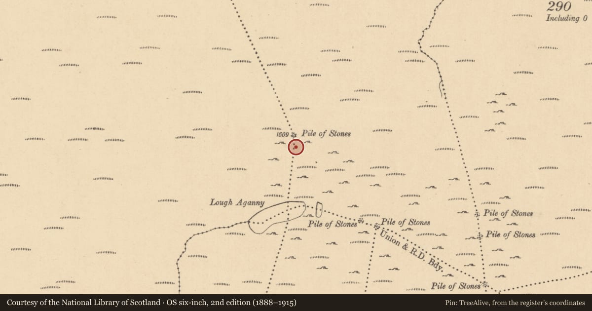 Ordnance Survey six-inch map, 2nd edition (1888–1915) covering the location of Cairn - boundary cairn, Aghavoghil, Erriff, County Leitrim, with a pin at the register's coordinates
