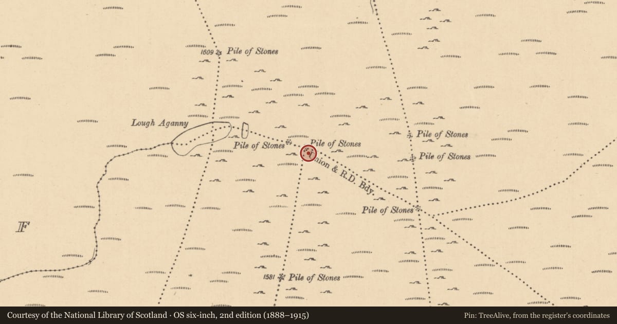 Ordnance Survey six-inch map, 2nd edition (1888–1915) covering the location of Cairn - boundary cairn, County Leitrim, with a pin at the register's coordinates