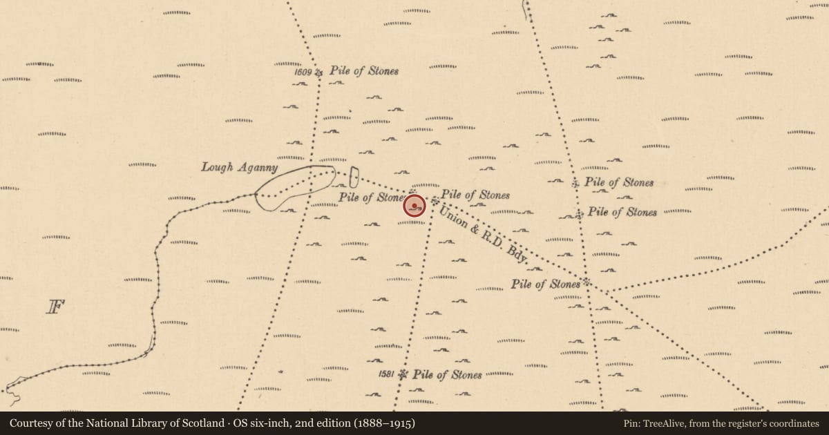 Ordnance Survey six-inch map, 2nd edition (1888–1915) covering the location of Boundary stone, County Leitrim, with a pin at the register's coordinates