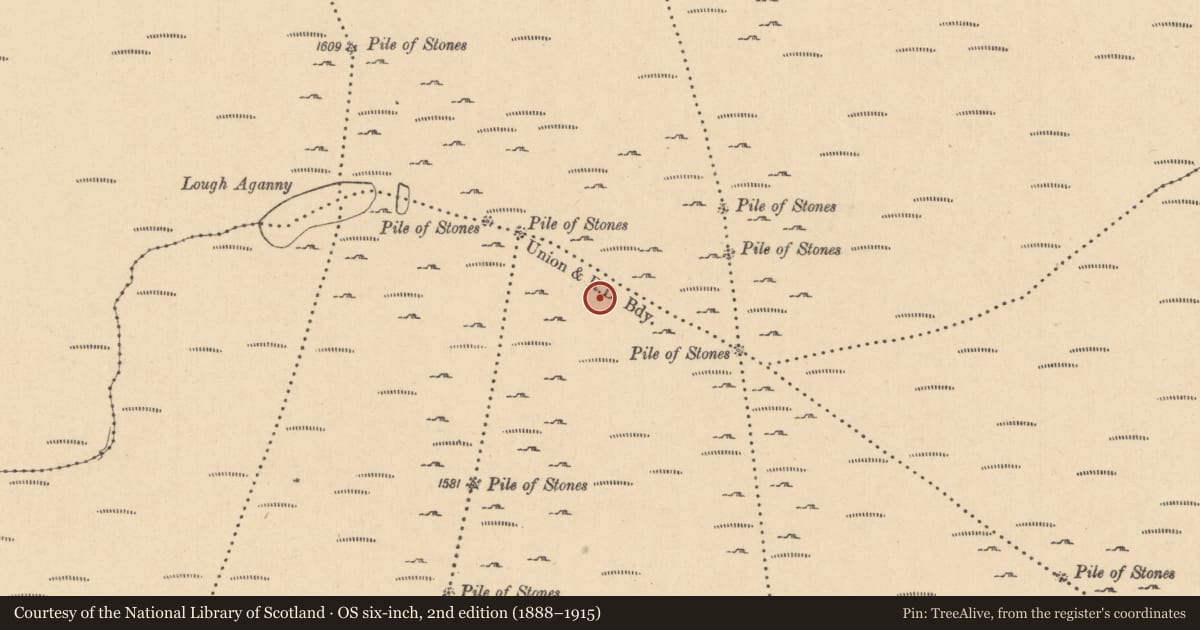 Ordnance Survey six-inch map, 2nd edition (1888–1915) covering the location of Sheepfold, Cullionboy, County Leitrim, with a pin at the register's coordinates