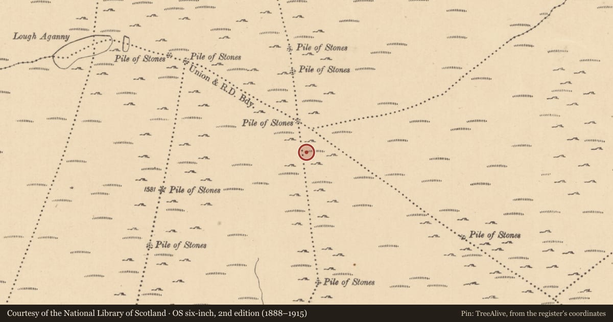Ordnance Survey six-inch map, 2nd edition (1888–1915) covering the location of Cairn - boundary cairn, County Leitrim, with a pin at the register's coordinates
