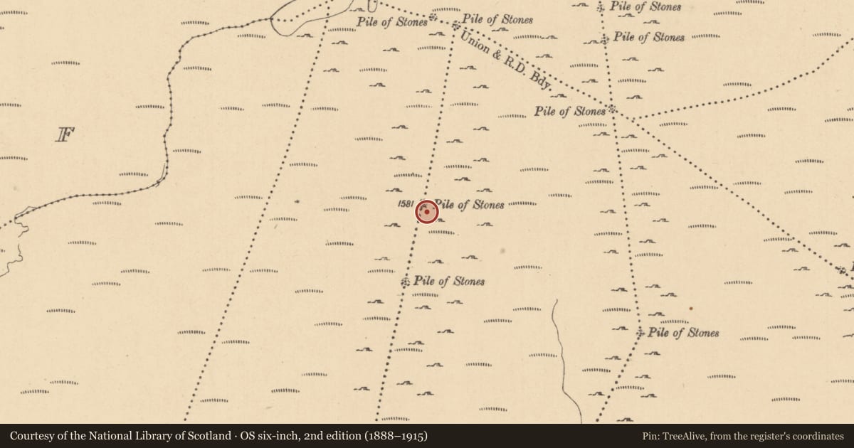 Ordnance Survey six-inch map, 2nd edition (1888–1915) covering the location of Cairn - boundary cairn, Cullionboy, Gubinea, County Leitrim, with a pin at the register's coordinates