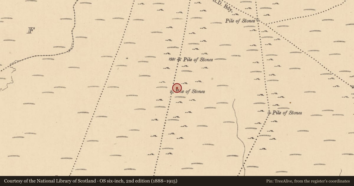 Ordnance Survey six-inch map, 2nd edition (1888–1915) covering the location of Cairn - boundary cairn, Cullionboy, Gubinea, County Leitrim, with a pin at the register's coordinates
