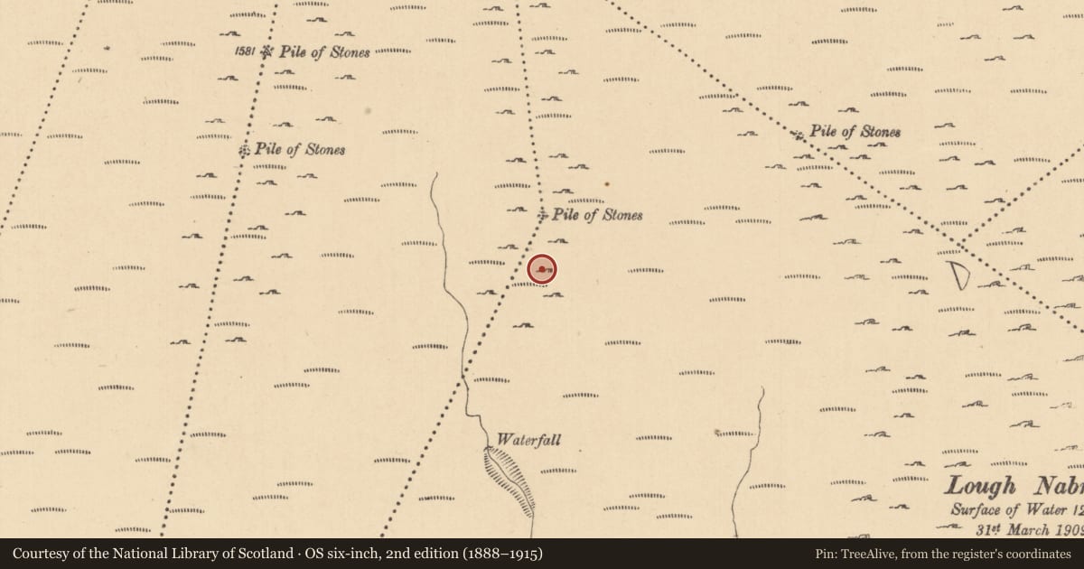 Ordnance Survey six-inch map, 2nd edition (1888–1915) covering the location of Cairn - boundary cairn, Leckanarainey, Cullionboy, County Leitrim, with a pin at the register's coordinates