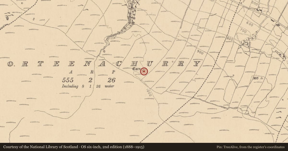 Ordnance Survey six-inch map, 2nd edition (1888–1915) covering the location of Cairn - unclassified, Gorteenachurry, County Leitrim, with a pin at the register's coordinates