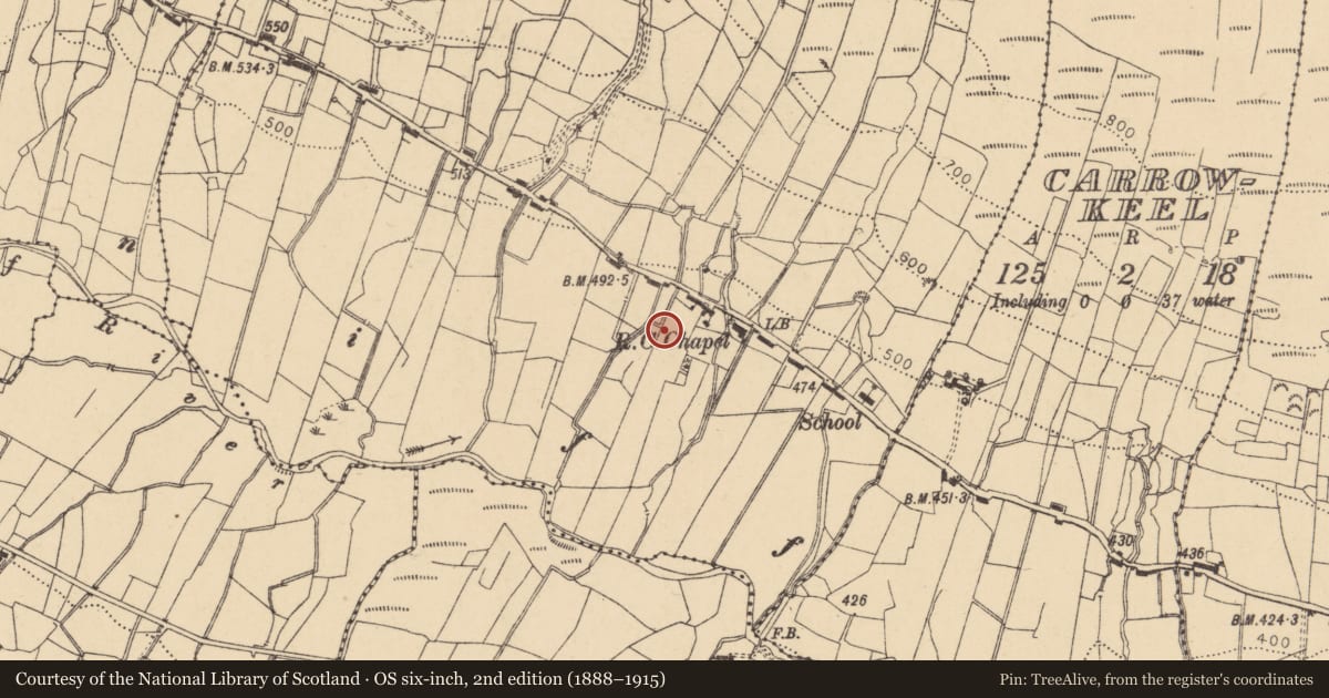 Ordnance Survey six-inch map, 2nd edition (1888–1915) covering the location of Enclosure, Lissiniska, County Leitrim, with a pin at the register's coordinates
