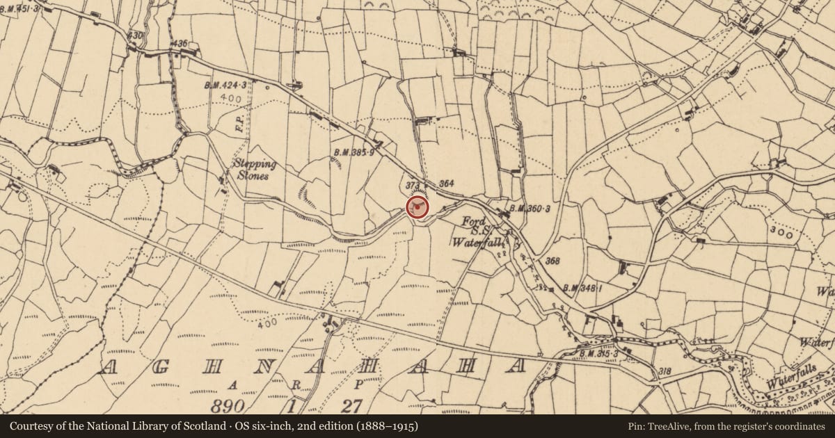 Ordnance Survey six-inch map, 2nd edition (1888–1915) covering the location of Ringfort - rath, Aghnahaha, County Leitrim, with a pin at the register's coordinates