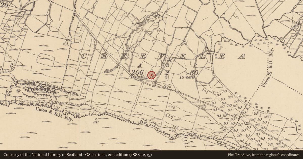 Ordnance Survey six-inch map, 2nd edition (1888–1915) covering the location of Ringfort - rath, Creelevea, County Leitrim, with a pin at the register's coordinates