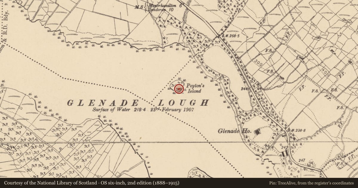 Ordnance Survey six-inch map, 2nd edition (1888–1915) covering the location of Enclosure, Gubinea, County Leitrim, with a pin at the register's coordinates