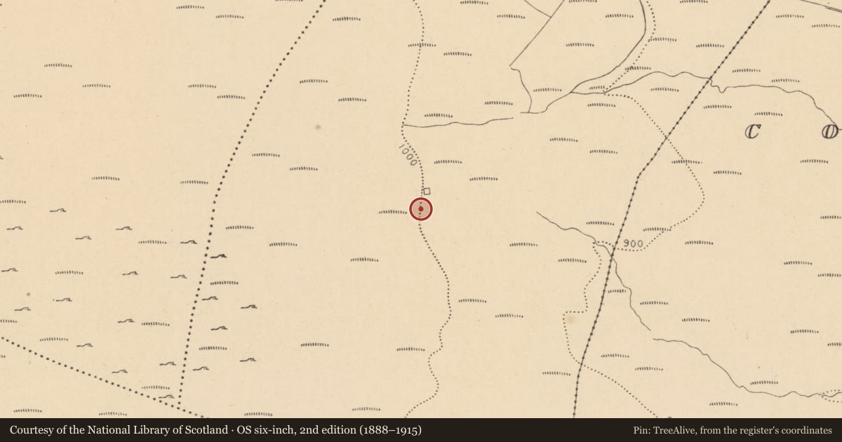 Ordnance Survey six-inch map, 2nd edition (1888–1915) covering the location of Hut site, Aghnahoo, County Leitrim, with a pin at the register's coordinates