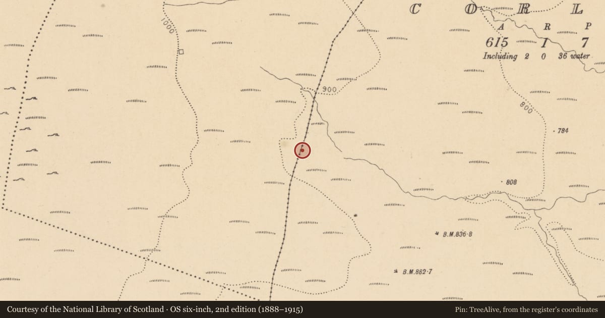 Ordnance Survey six-inch map, 2nd edition (1888–1915) covering the location of Building, Corlea, County Leitrim, with a pin at the register's coordinates