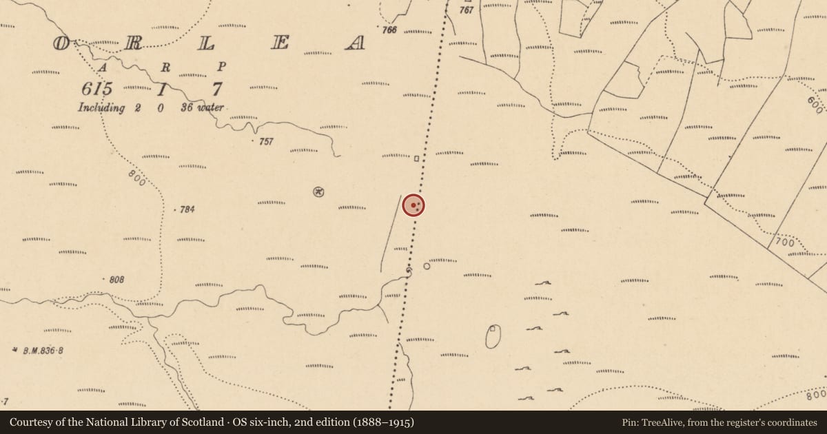 Ordnance Survey six-inch map, 2nd edition (1888–1915) covering the location of Booley hut, Aghnahaha, Corlea, County Leitrim, with a pin at the register's coordinates