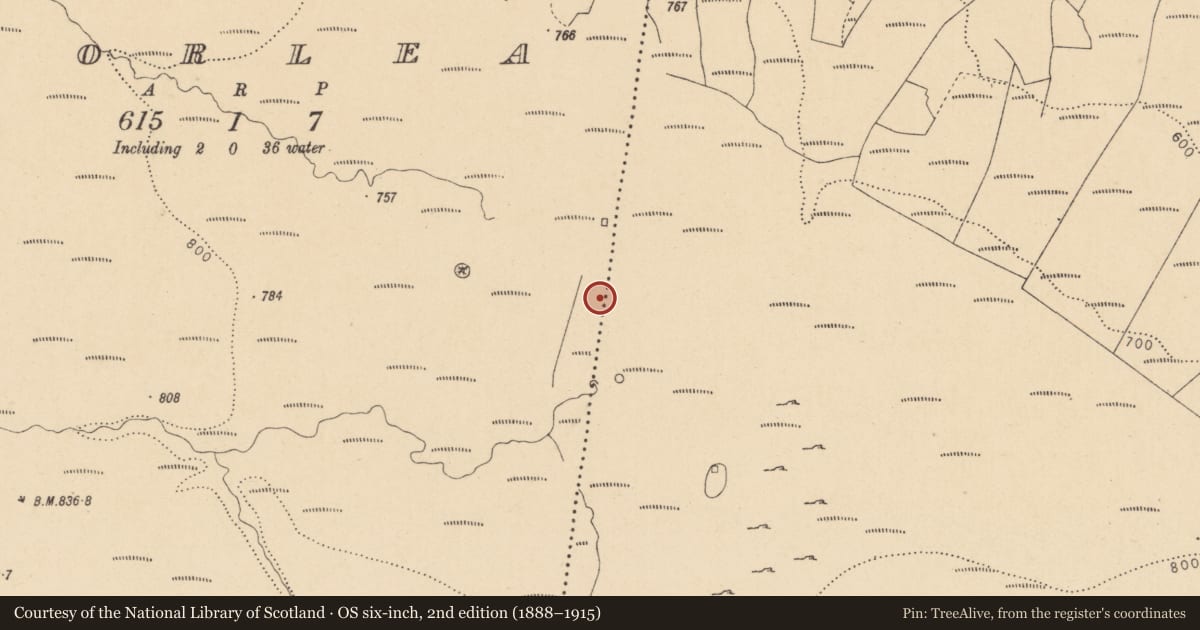Ordnance Survey six-inch map, 2nd edition (1888–1915) covering the location of Field boundary, Aghnahaha, Corlea, County Leitrim, with a pin at the register's coordinates