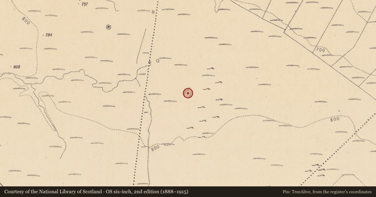 Ordnance Survey six-inch map, 2nd edition (1888–1915) covering the location of Hut site, Aghnahaha, County Leitrim, with a pin at the register's coordinates