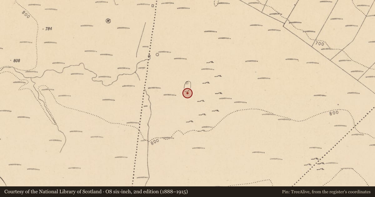 Ordnance Survey six-inch map, 2nd edition (1888–1915) covering the location of Hut site, Aghnahaha, County Leitrim, with a pin at the register's coordinates