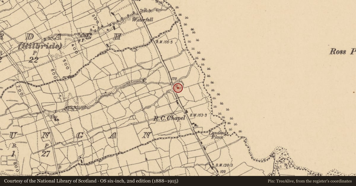 Ordnance Survey six-inch map, 2nd edition (1888–1915) covering the location of Ringfort - rath, Drungan, County Leitrim, with a pin at the register's coordinates