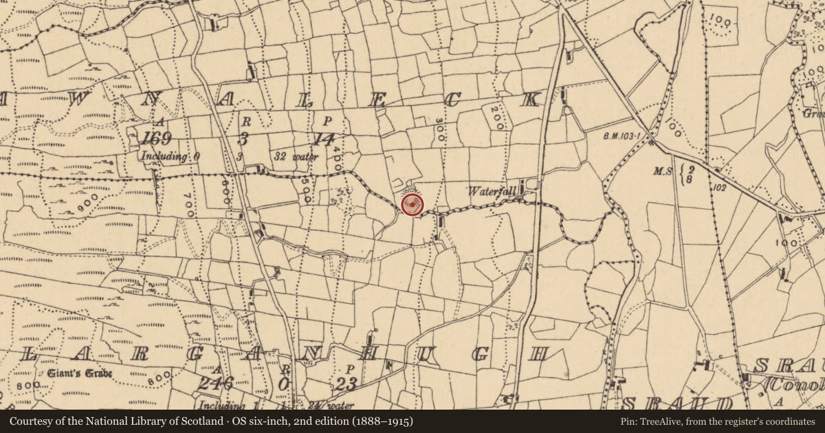 Ordnance Survey six-inch map, 2nd edition (1888–1915) covering the location of Ringfort - rath, Tawnaleck, County Leitrim, with a pin at the register's coordinates