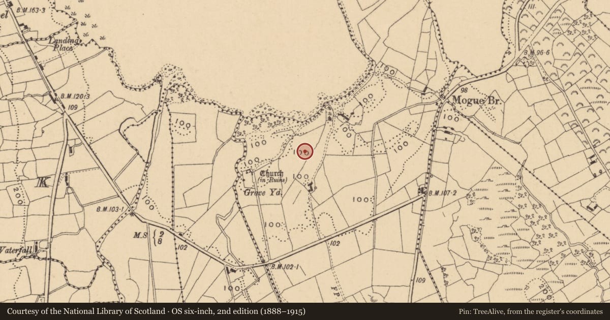 Ordnance Survey six-inch map, 2nd edition (1888–1915) covering the location of Ritual site - holy well, Gubalaun, County Leitrim, with a pin at the register's coordinates