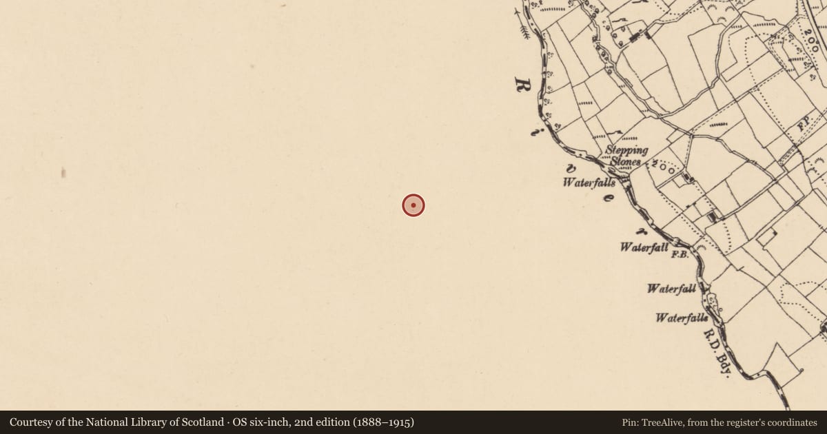 Ordnance Survey six-inch map, 2nd edition (1888–1915) covering the location of Linear earthwork, Cornagawna, County Leitrim, with a pin at the register's coordinates