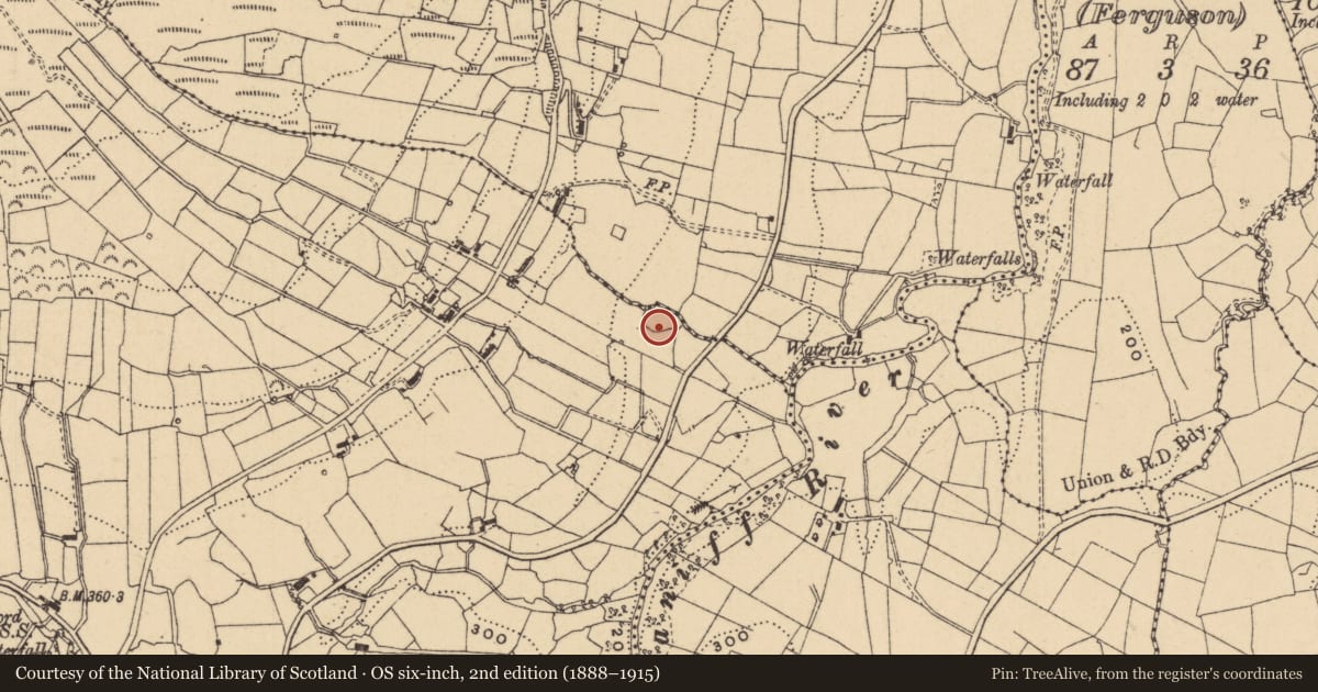 Ordnance Survey six-inch map, 2nd edition (1888–1915) covering the location of Ringfort - unclassified, Aghnahaha, County Leitrim, with a pin at the register's coordinates
